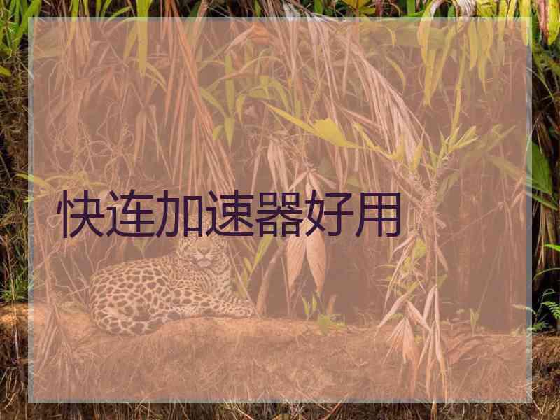 快连加速器好用