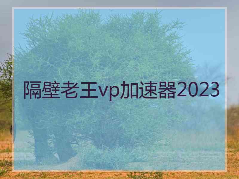 隔壁老王vp加速器2023