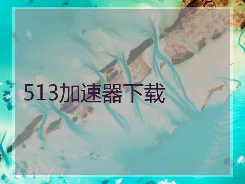 513加速器下载