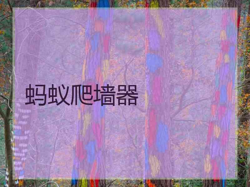 蚂蚁爬墙器