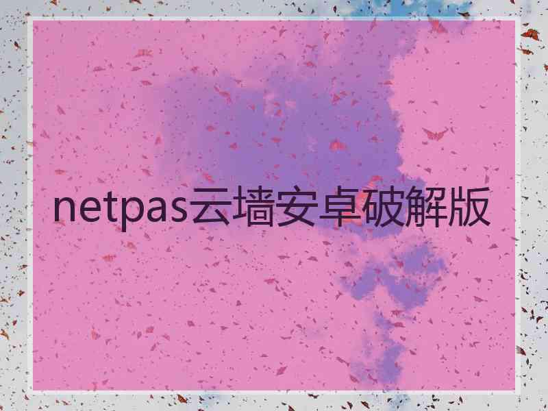 netpas云墙安卓破解版