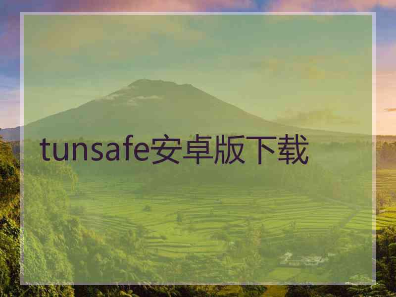 tunsafe安卓版下载
