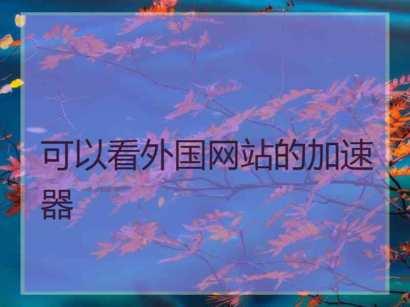 可以看外国网站的加速器