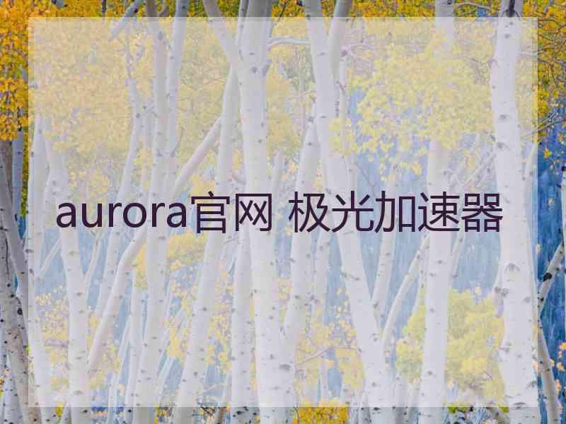 aurora官网 极光加速器