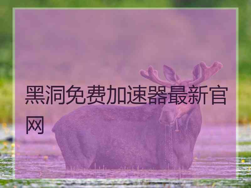 黑洞免费加速器最新官网