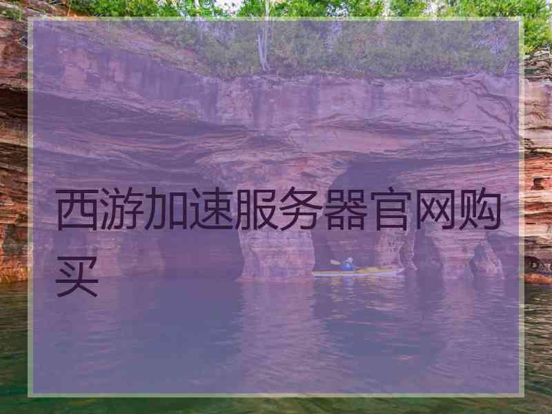 西游加速服务器官网购买