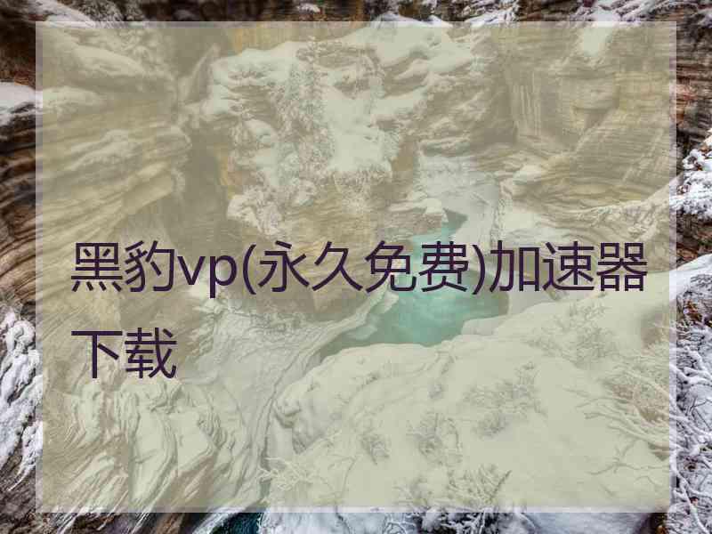 黑豹vp(永久免费)加速器下载