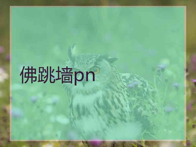 佛跳墙pn
