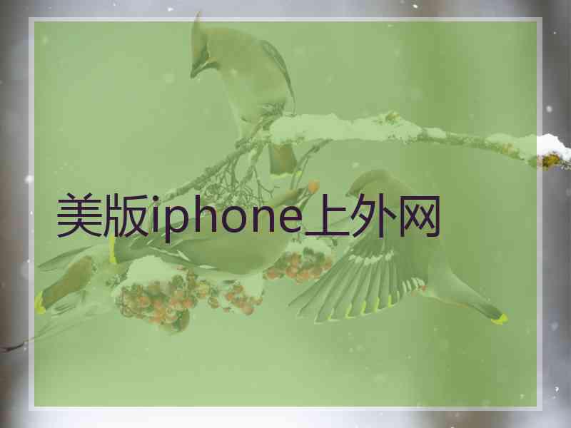美版iphone上外网