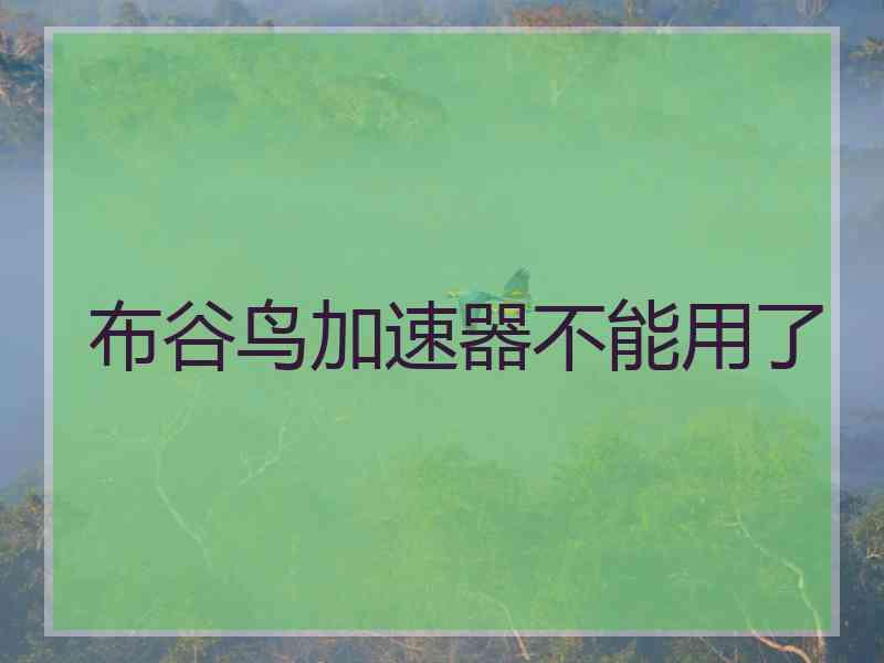 布谷鸟加速器不能用了
