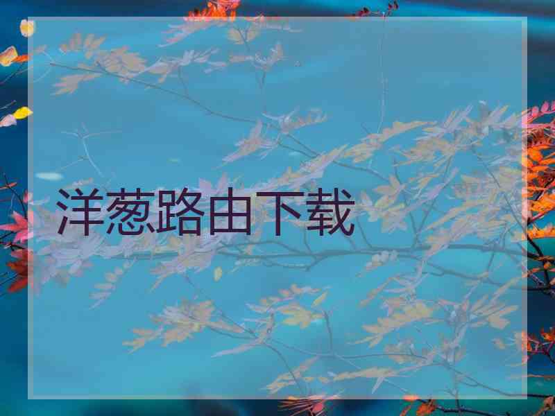 洋葱路由下载