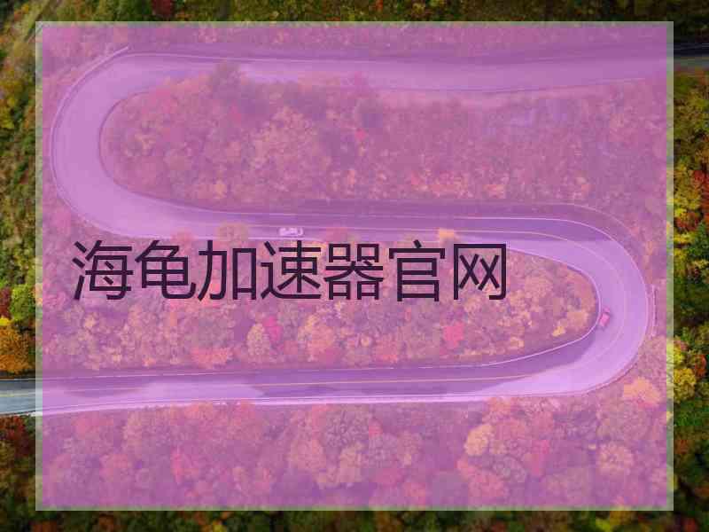 海龟加速器官网