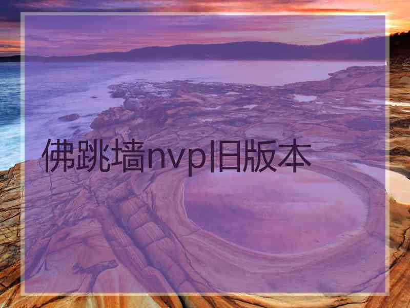 佛跳墙nvp旧版本