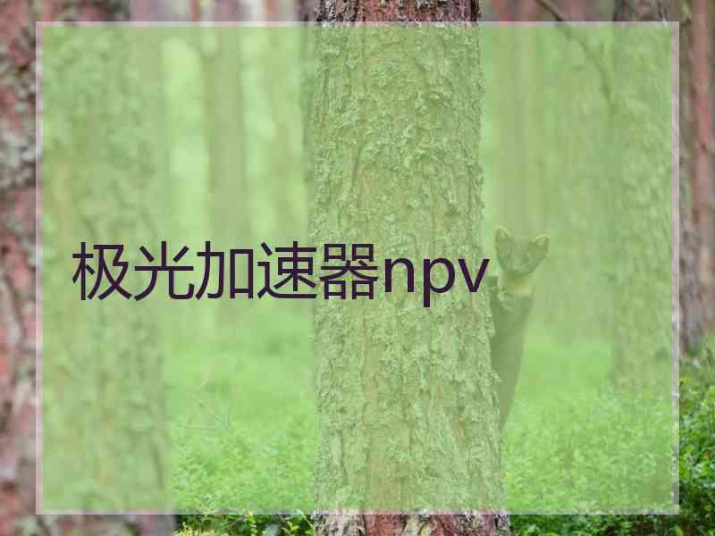 极光加速器npv