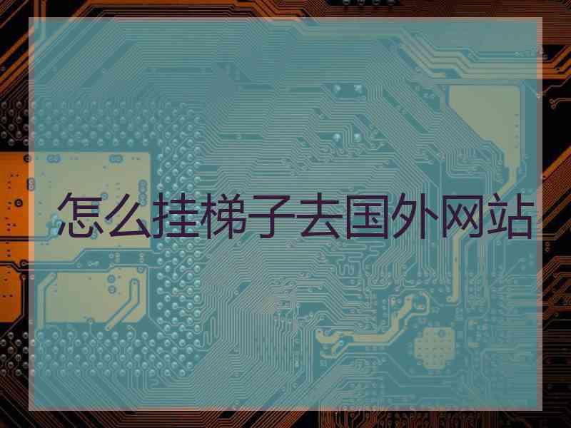 怎么挂梯子去国外网站