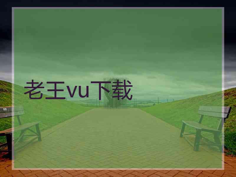 老王vu下载