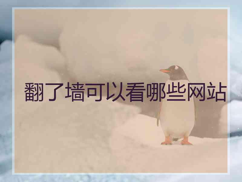 翻了墙可以看哪些网站