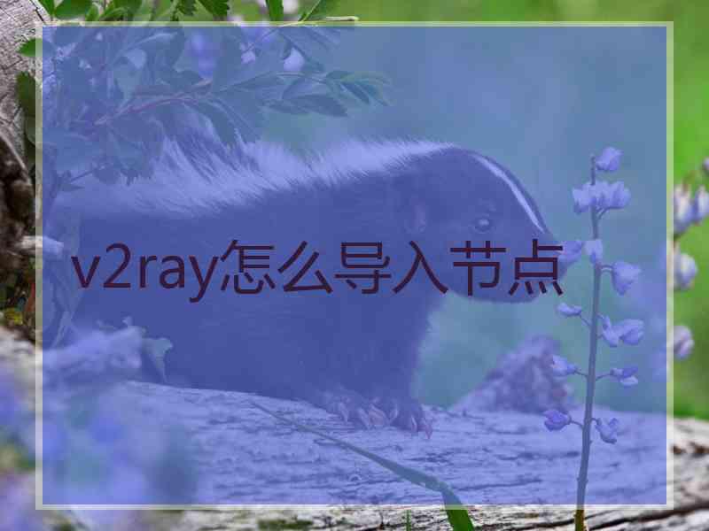 v2ray怎么导入节点