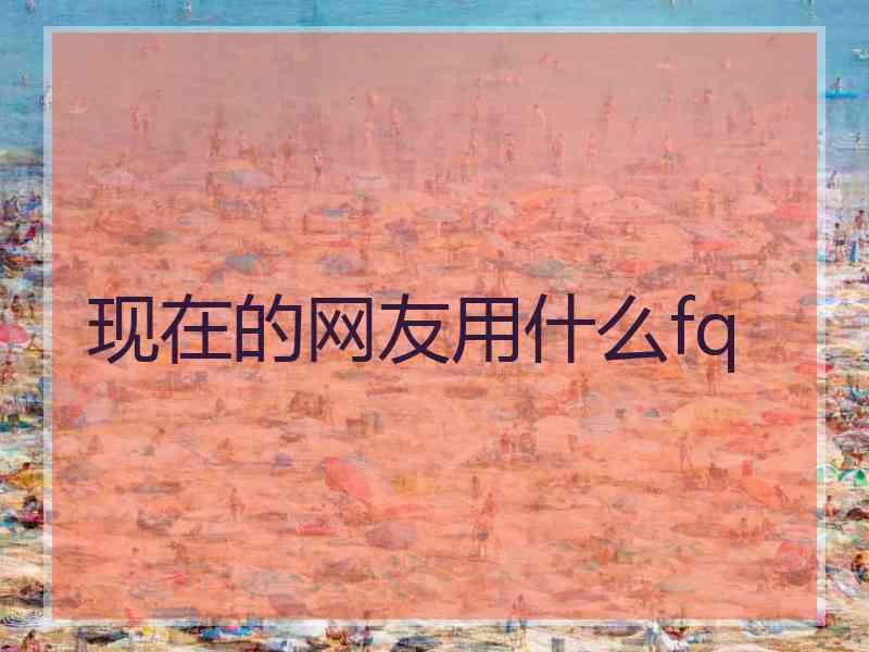 现在的网友用什么fq