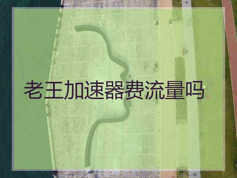 老王加速器费流量吗