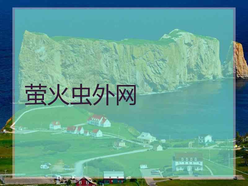 萤火虫外网