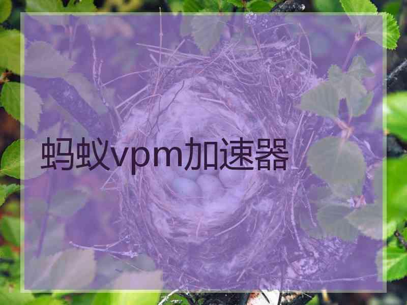 蚂蚁vpm加速器