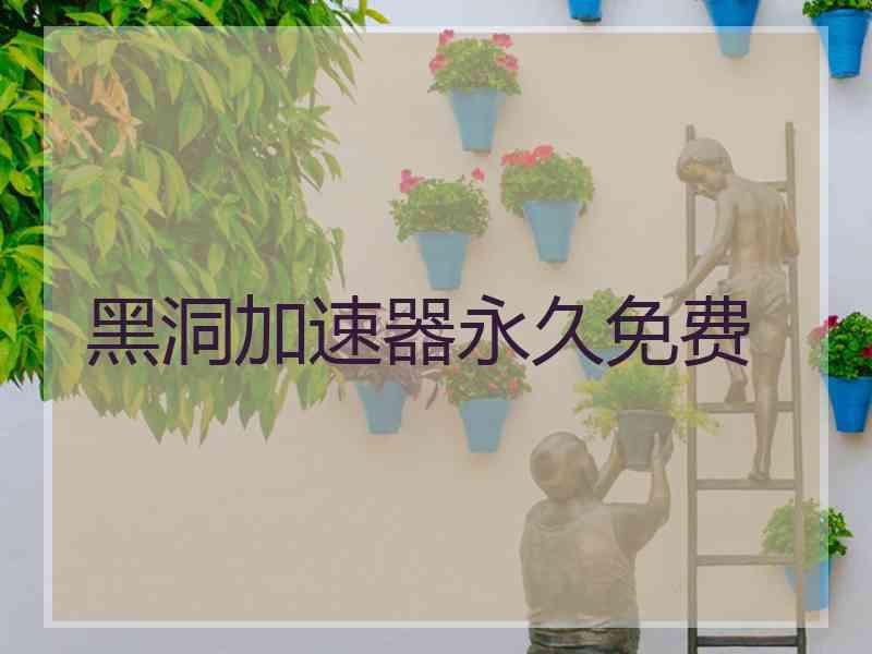 黑洞加速器永久免费