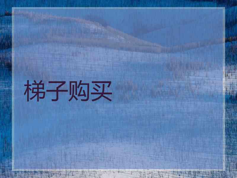 梯子购买