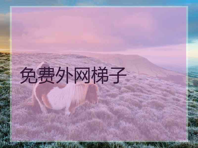 免费外网梯子