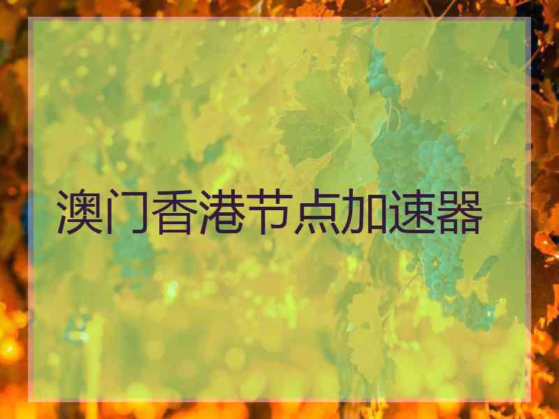 澳门香港节点加速器