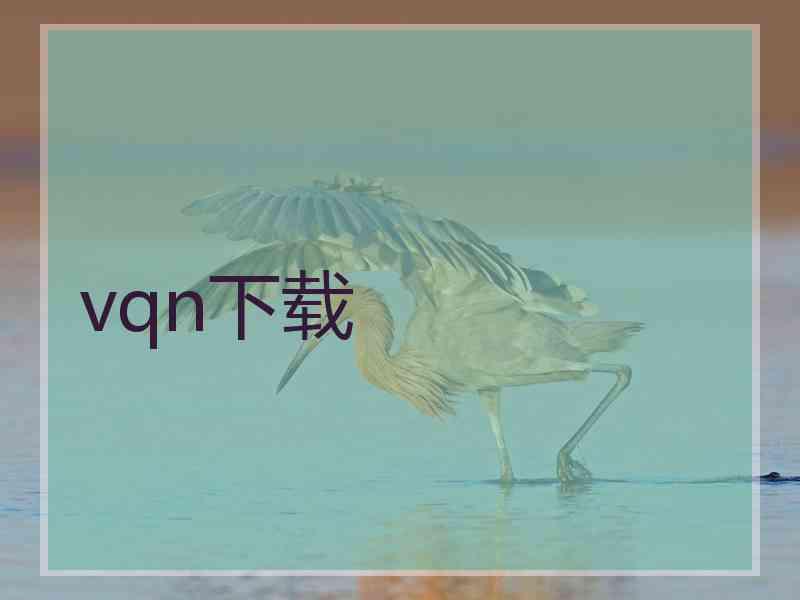 vqn下载