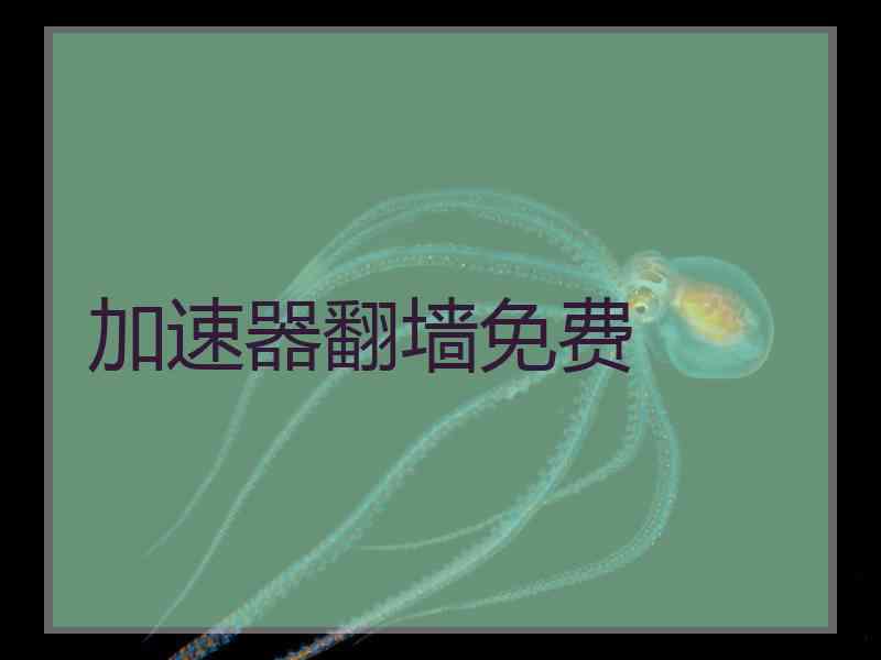 加速器翻墙免费