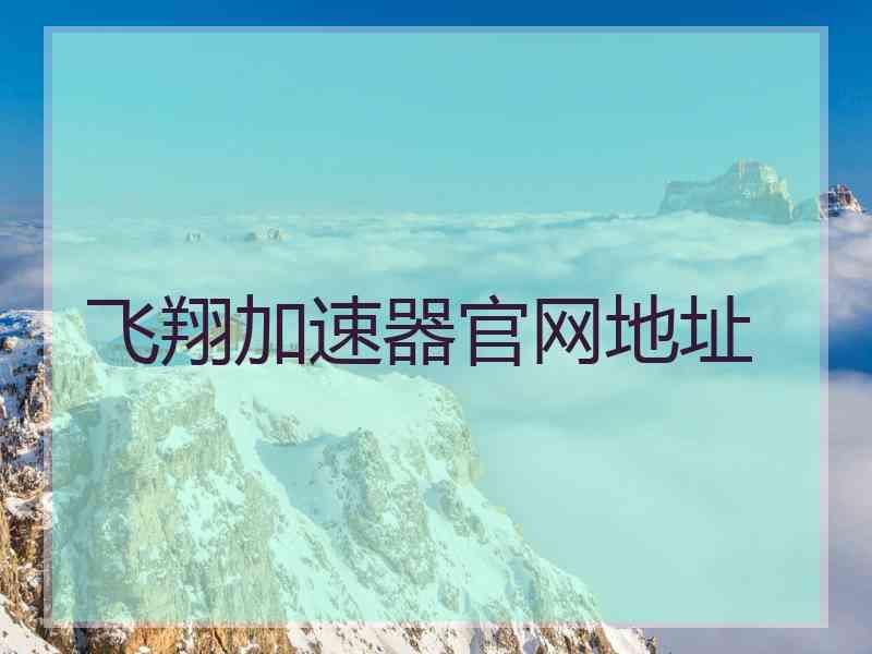 飞翔加速器官网地址