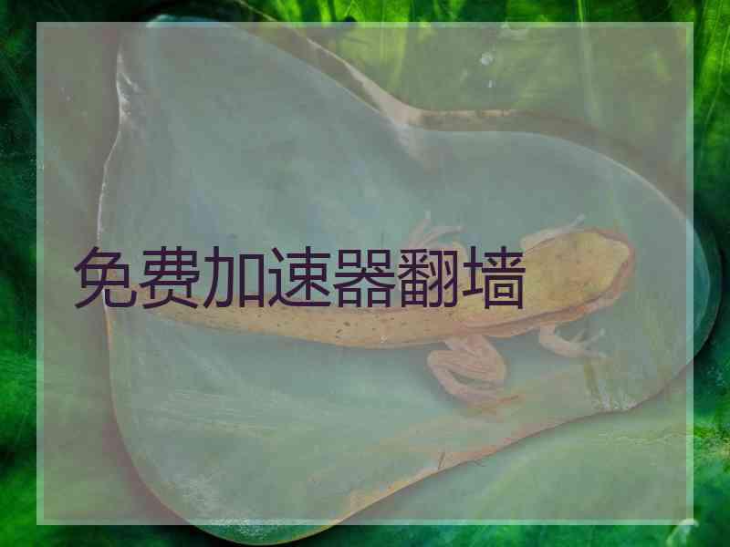 免费加速器翻墙