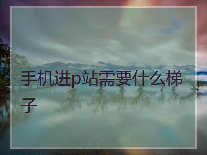 手机进p站需要什么梯子