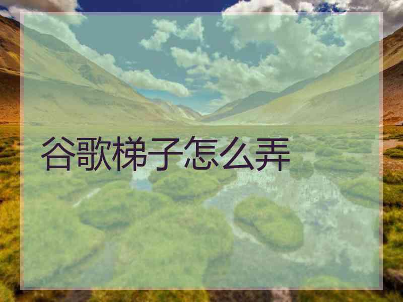 谷歌梯子怎么弄