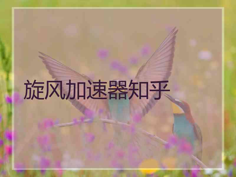 旋风加速器知乎