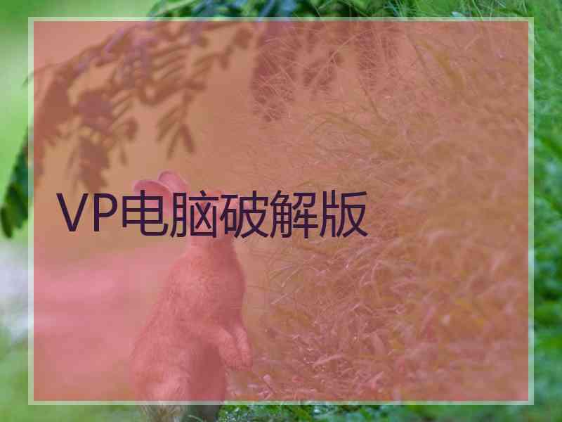 VP电脑破解版