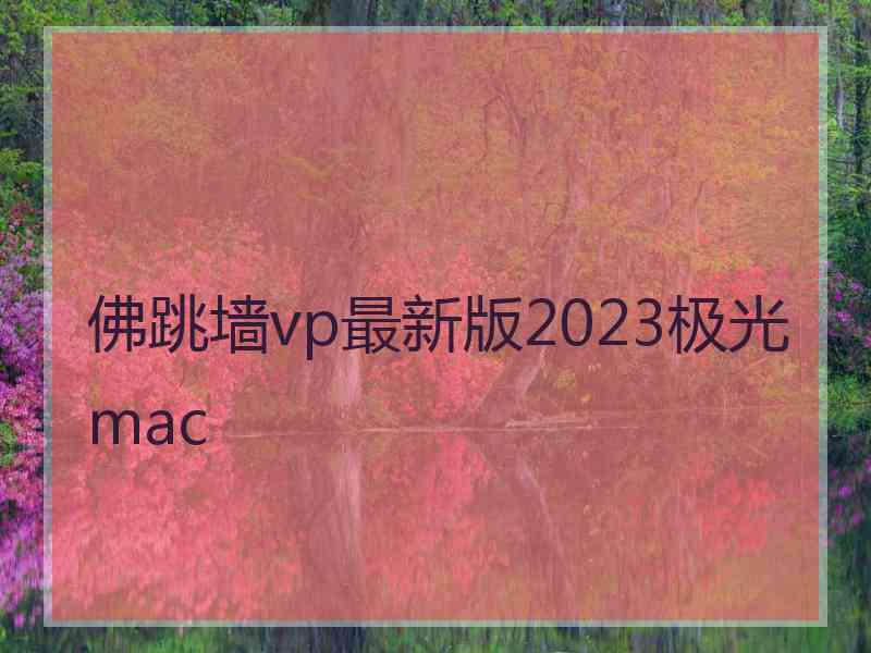 佛跳墙vp最新版2023极光 mac