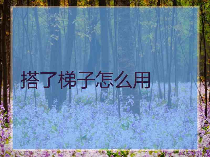 搭了梯子怎么用