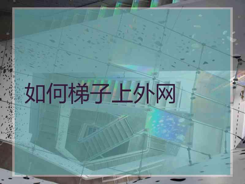 如何梯子上外网