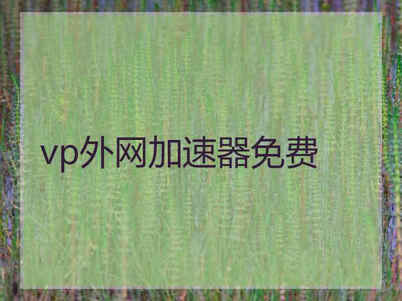 vp外网加速器免费