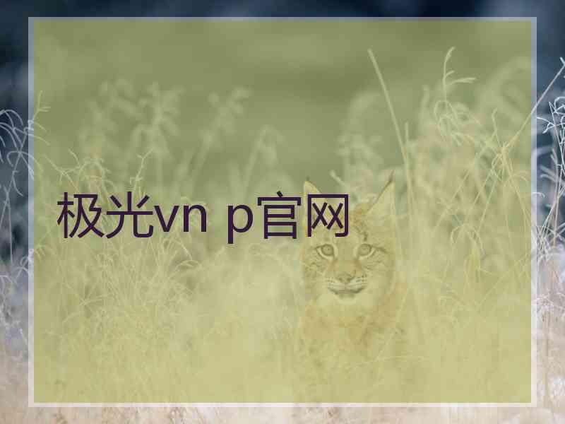 极光vn p官网