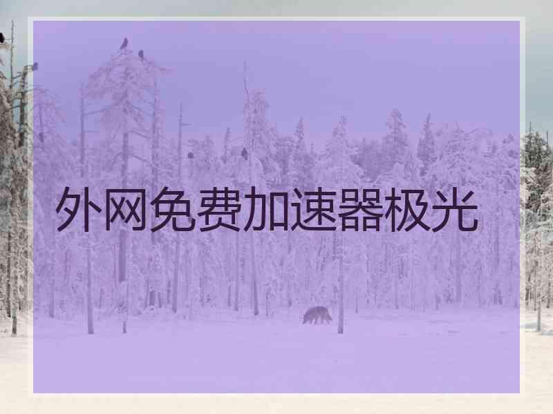 外网免费加速器极光
