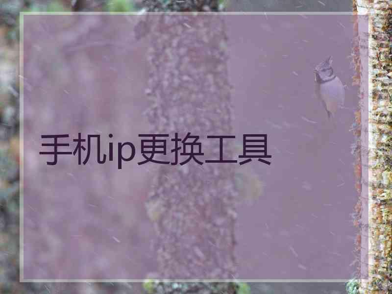 手机ip更换工具