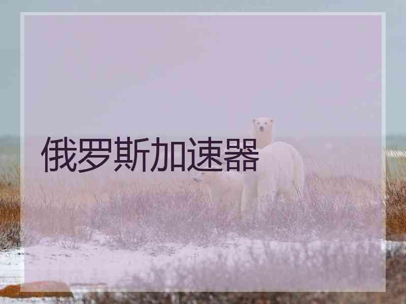 俄罗斯加速器
