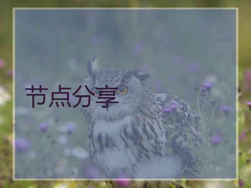 节点分享
