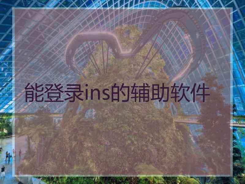 能登录ins的辅助软件