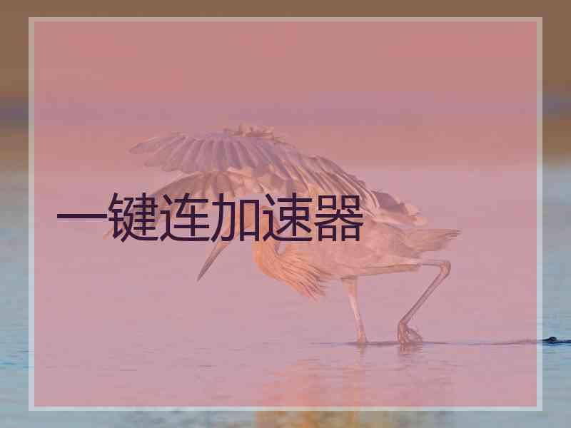 一键连加速器