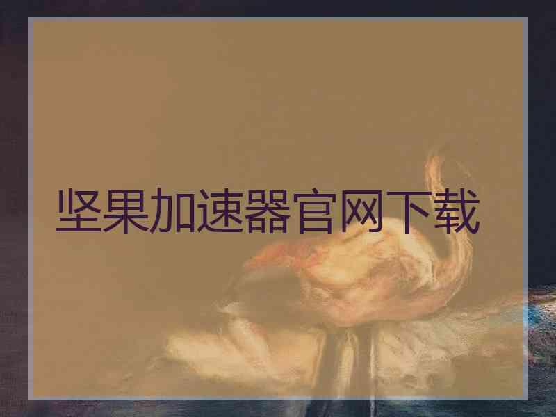 坚果加速器官网下载